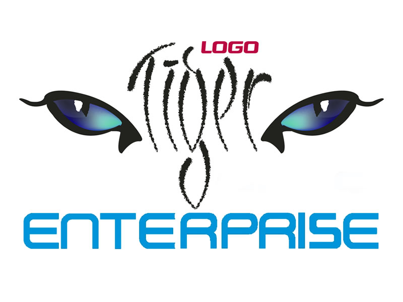 tiger enterprise güzelyali