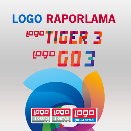 Logo Raporlama